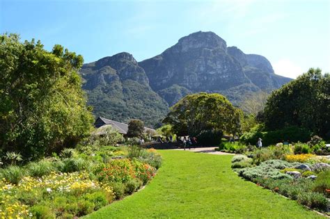 Botanischer Garten Kirstenbosch